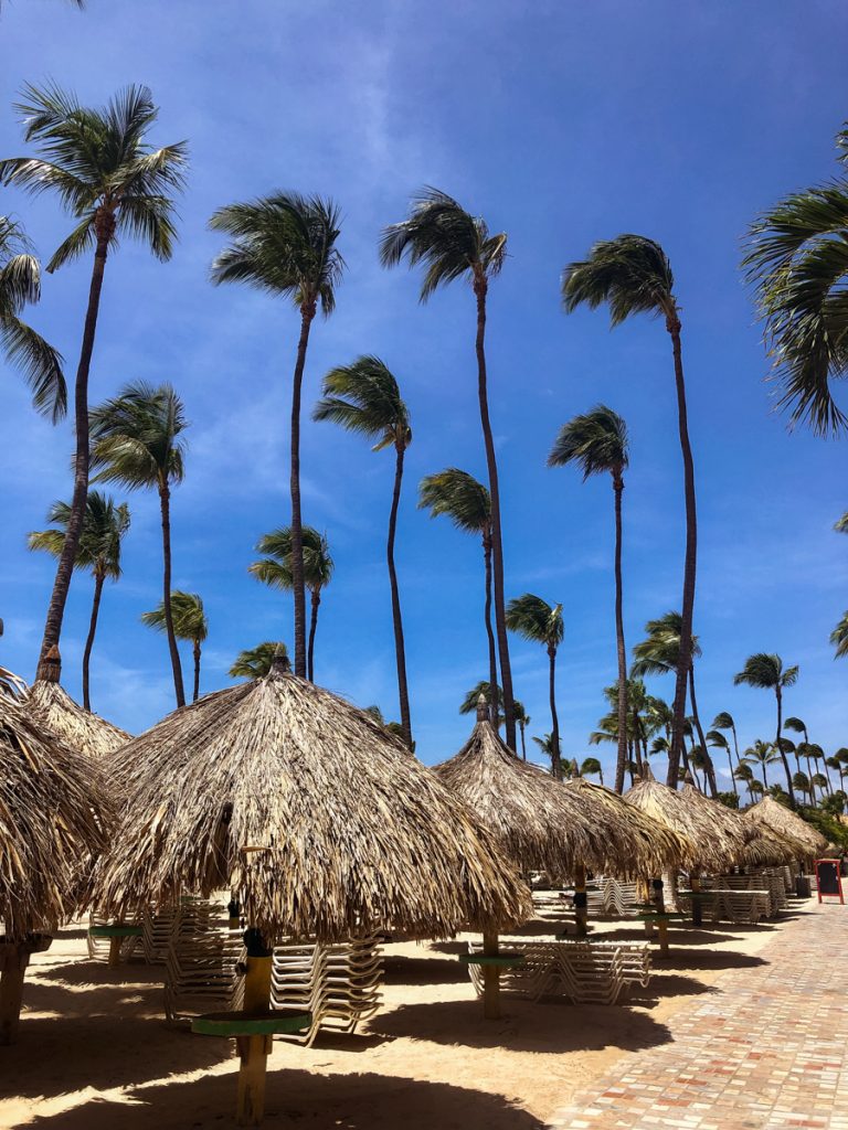 Palm beach, Aruba