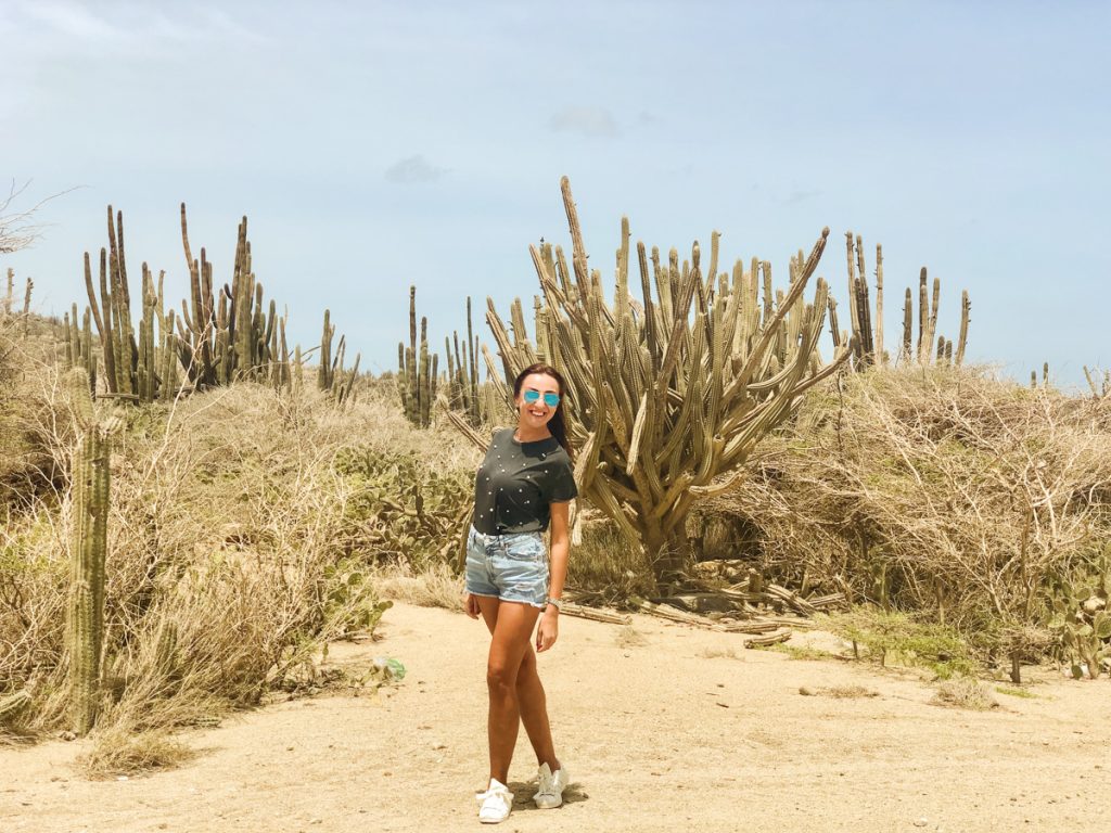 The cactus-scattered landscape in front of the Alto Vista Chapel, North coast, Aruba