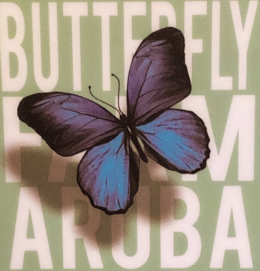 The butterfly farm, Aruba
