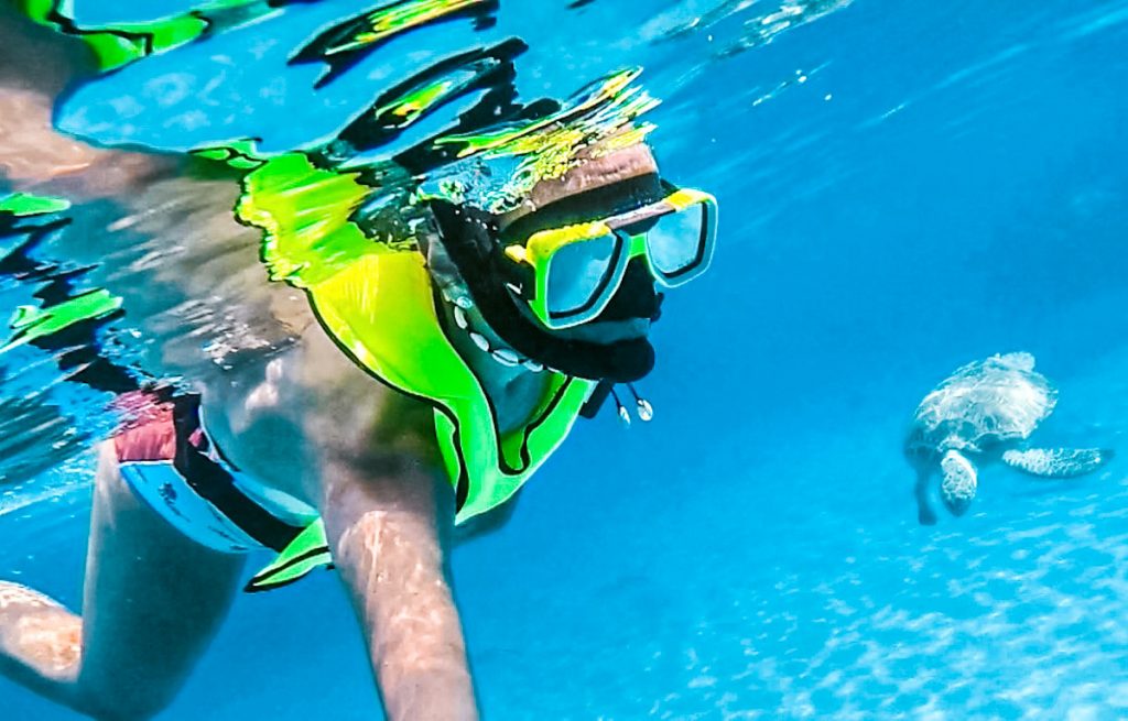 Unforgettable snorkeling with turtles experience, Playa Piskado, Curacao